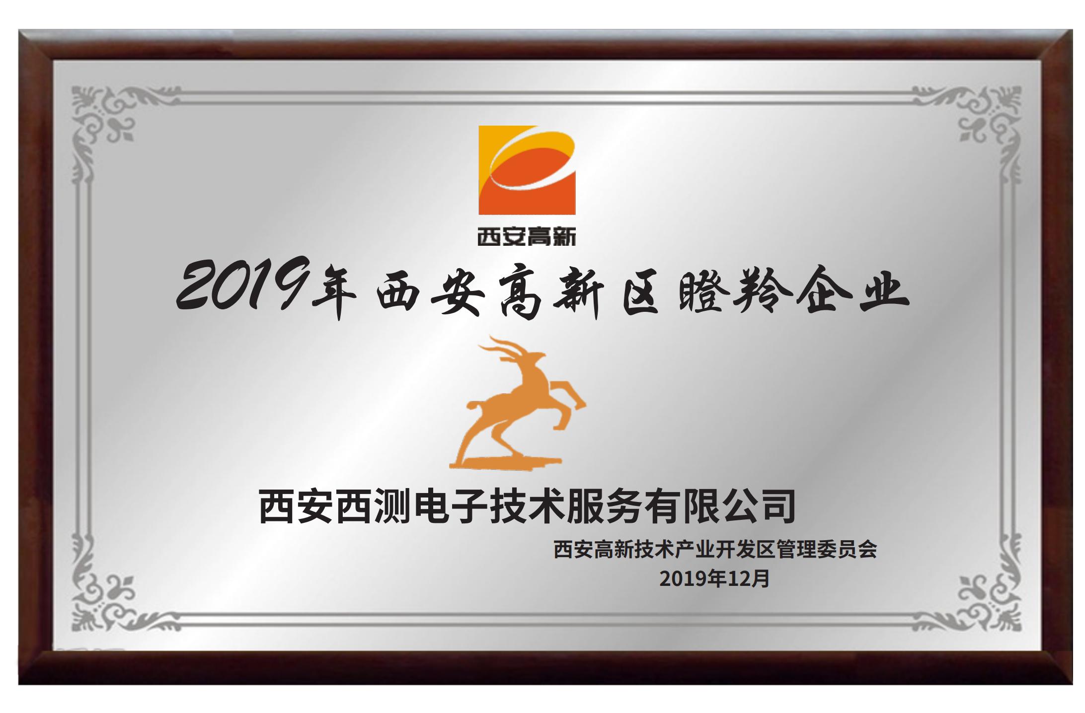 2019年西安高新區(qū)瞪羚企業(yè)