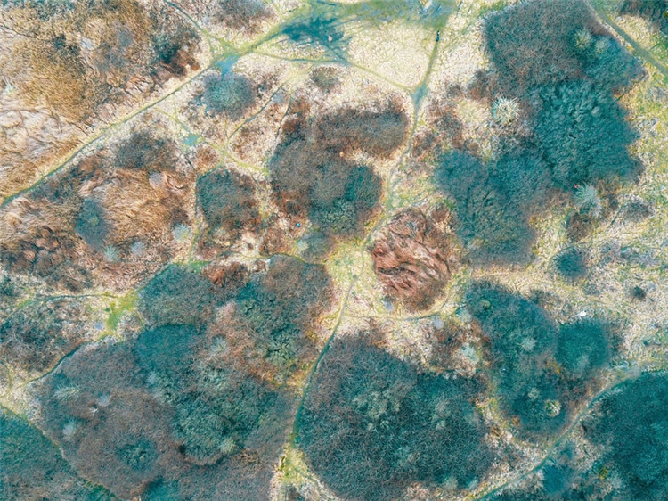 霉菌試驗(yàn)