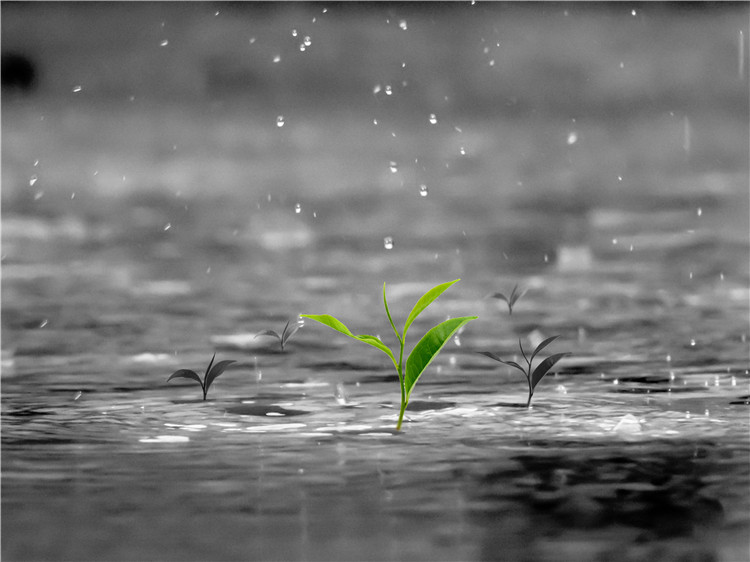 淋雨試驗(yàn)