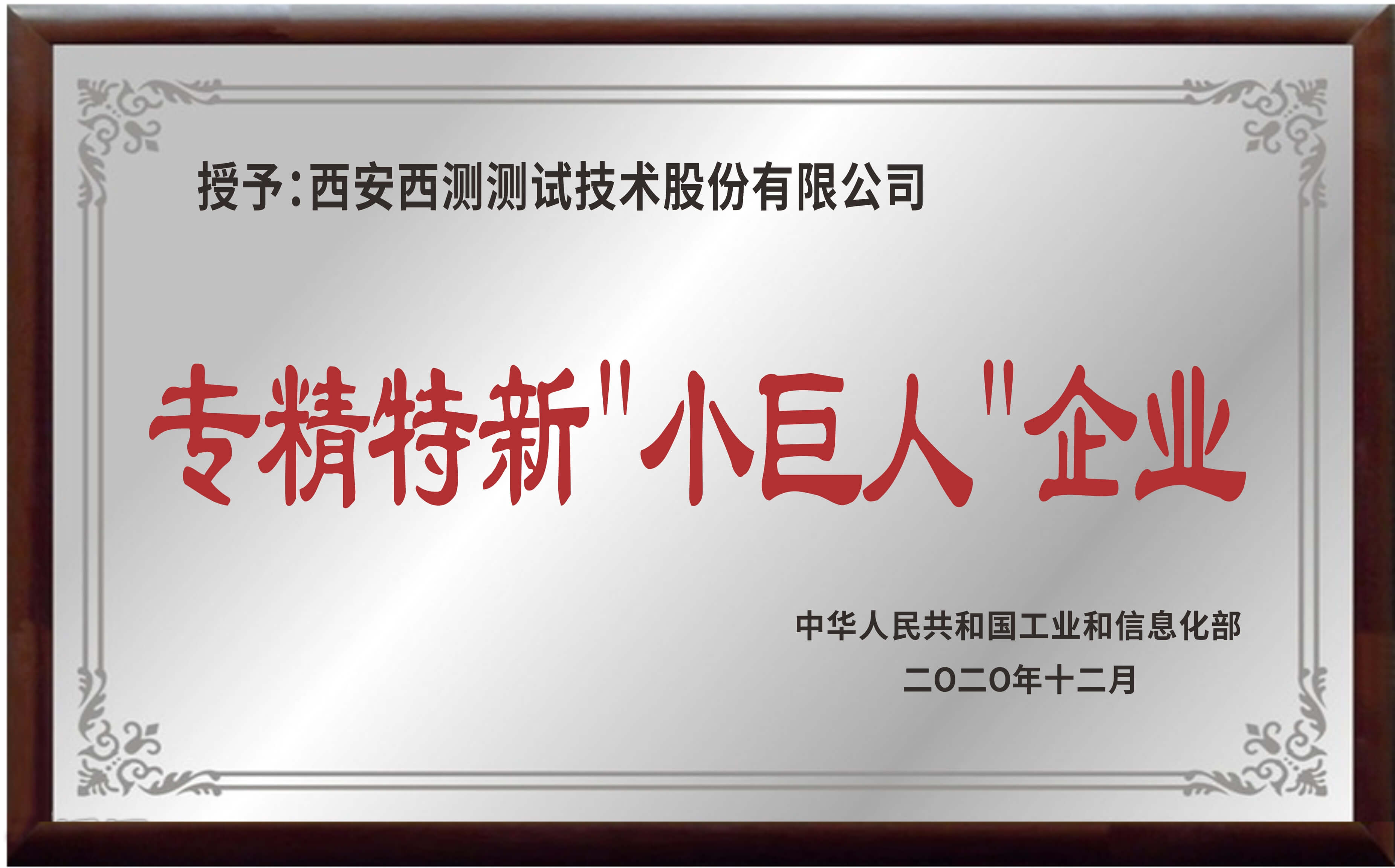 專精特新“小巨人”企業(yè)